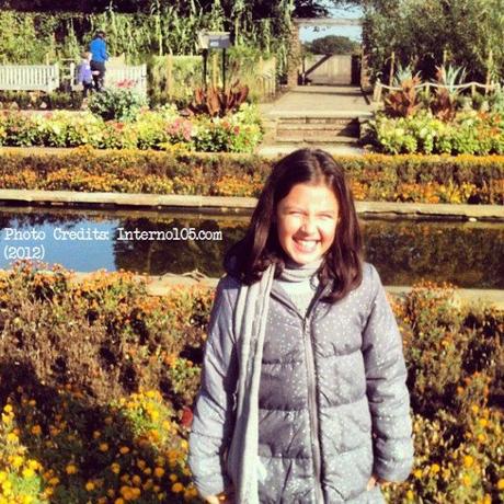 Il piccolo museo delle meraviglie