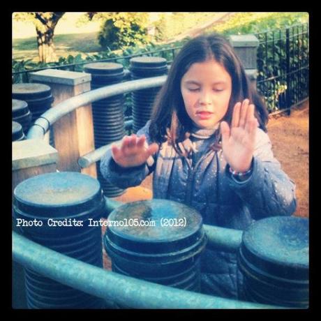 Il piccolo museo delle meraviglie