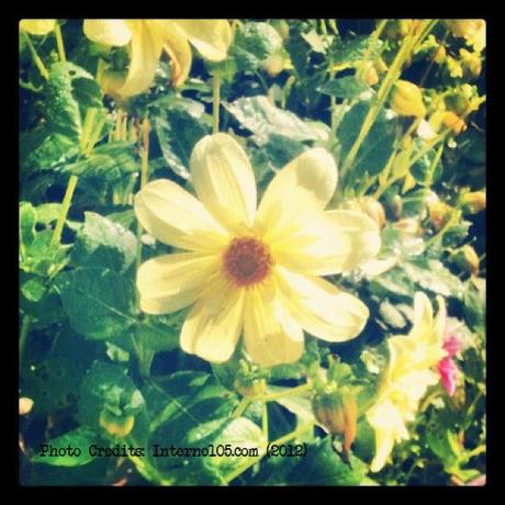 Il piccolo museo delle meraviglie