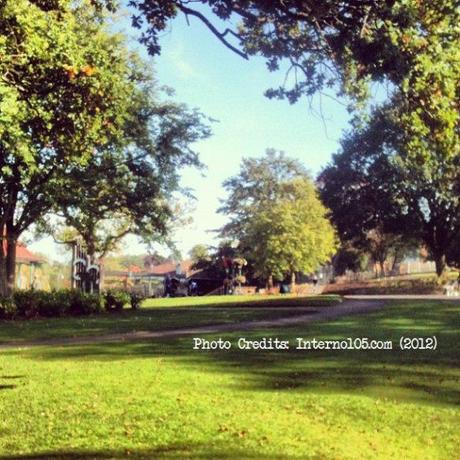 Il piccolo museo delle meraviglie