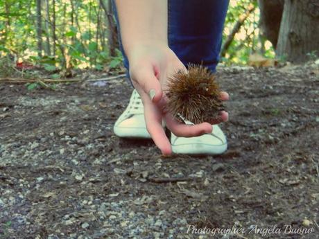 In particolare: la natura - A N G E L A .