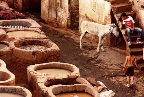 Marocco: un Paese sotto pelle