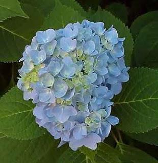 ...e Dio creò La Settimana Enigmistica