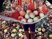 autunno tempo delle mele