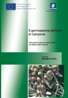 Il germoplasma dell'olivo in Campania.