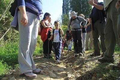 l'anello del tartufo