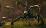 The Elder Scrolls Online, nuove immagini