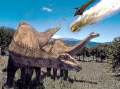Forse scoperto frammento meteorite provocò scomparsa dinosauri