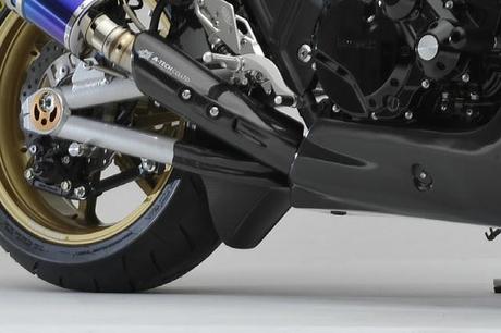 Kawasaki ZRX 1200 DAEG Custom by BEET