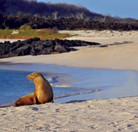 Silversea presenta Silver Galapagos