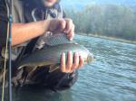 Pesca a mosca in Valtellina. Adrenalina Adda