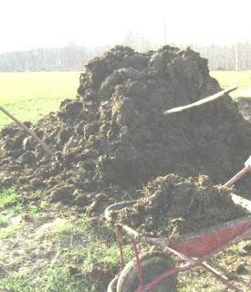 BATTER GIU' FORTE, SENZA PAURA..