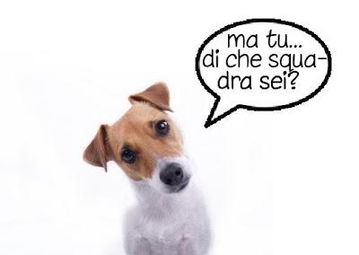 Animali che parlano di calcio... Cosa???