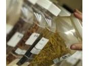 Cancro polmone, erbe medicinali cinesi aiutano