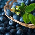 prevenzione dei tumori flavonoidi antiossidanti 