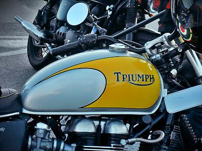 Antifreeze - L'Antigelo