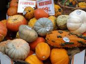 Evviva zucca! Idee semplici decorare zucche