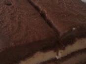 Torta gelato artigianale