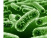 Perché inserire prebiotici nella dieta bambini