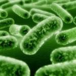 i prebiotici nella dieta dei bambini 150x150 Perché inserire i prebiotici nella dieta dei bambini