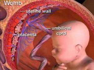 Nuovo test per diagnosticare la preeclampsia