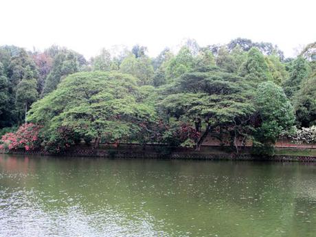 Malaysia+Borneo…Brunei and Singapore…very amazing! (1°parte-Kuala Lumpur-Batu Caves-Melaka)