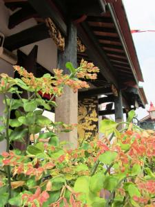 Malaysia+Borneo…Brunei and Singapore…very amazing! (1°parte-Kuala Lumpur-Batu Caves-Melaka)