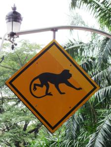 Malaysia+Borneo…Brunei and Singapore…very amazing! (1°parte-Kuala Lumpur-Batu Caves-Melaka)