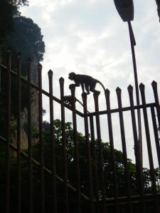 Malaysia+Borneo…Brunei and Singapore…very amazing! (1°parte-Kuala Lumpur-Batu Caves-Melaka)