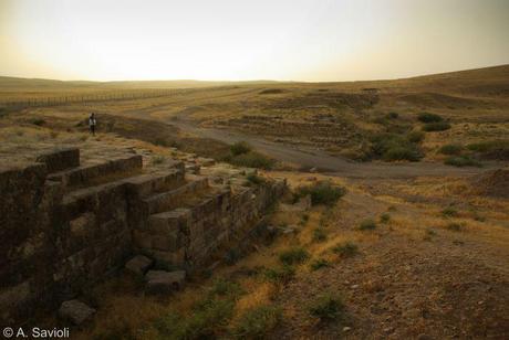 Ottimi frutti per gli archeologi italiani in Iraq