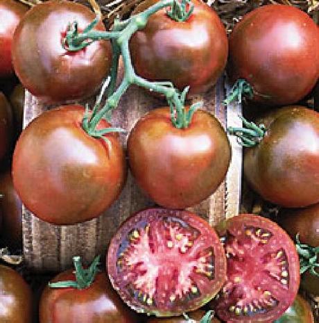 Ortaggi emergenti. Il pomodoro nero