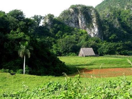 La Valle di Viñales. Stop!