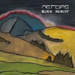 Metope-Black beauty 