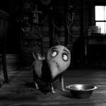 Gallery Frankenweenie 012 150x150 Speciale Cinema – Recensione in anteprima di Frankenweenie   videos vetrina speciale cinema eventi 