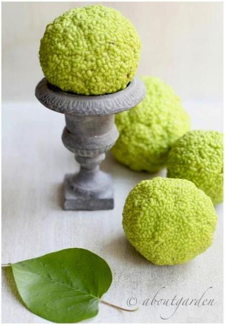 natural green ball