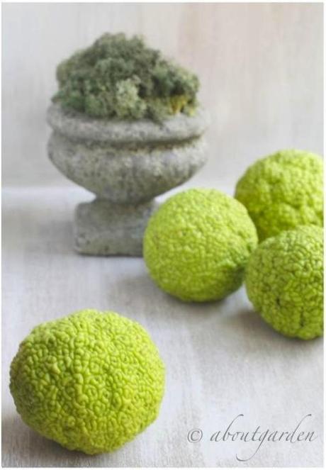 natural green ball