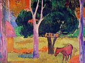 cavallo maiale