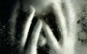 Stefano Scala Dopo aggressione scompare in Messico