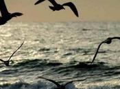 "L'inganno" /Spazio poesia