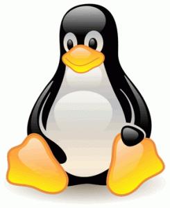 Oggi è il Linux Day… ma chi è Linus Torvald?