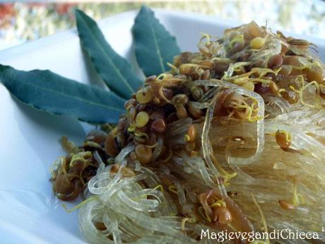 Vermicelli di soia con germogli di lenticchie