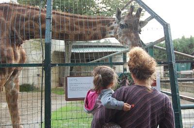 Gite a : lo zoo di Pistoia.