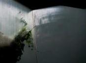 SPECULUM: riflessioni inclinate fotografo margini