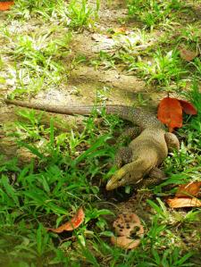 …Malaysia – 2°parte-Pulau Langkawi e Pulau Perenthian