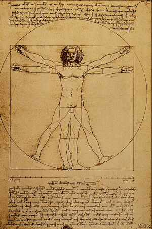 Studio del Corpo Umano - Leonardo da Vinci