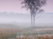 nebbia, altro antipatico amico fotografi