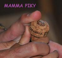 UNA GIORNATA NORMO-SPECIALE