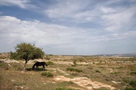 Val di Noto