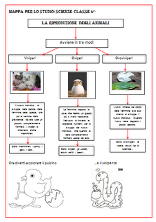 Mappa per lo studio classe 4: ovipari, vivipari, ovovivipari
