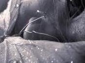 Roma Tuscolano Bambino anni impicca bagno casa